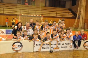 STARŠIA PRÍPRAVKA - MAJSTER SR V SEZÓNE 20132014