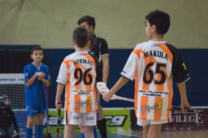 Staršia prípravka 28.1.2018