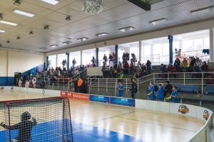 Staršia prípravka 28.1.2018
