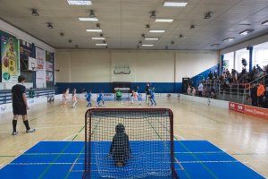 Staršia prípravka 28.1.2018